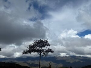 https://valkenburg.kunstenantiek.eu/wp/index.php/product/tree-with-a-cloudy-sky/